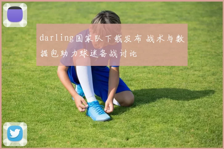 darling国家队下载发布 战术与数据包助力球迷备战讨论