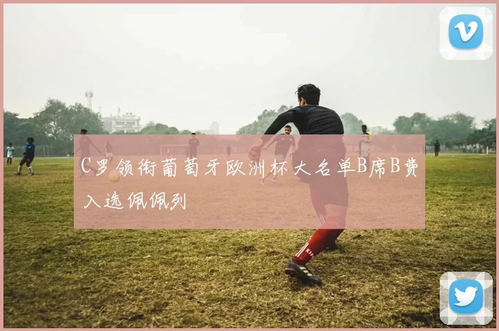 C罗领衔葡萄牙欧洲杯大名单B席B费入选佩佩列