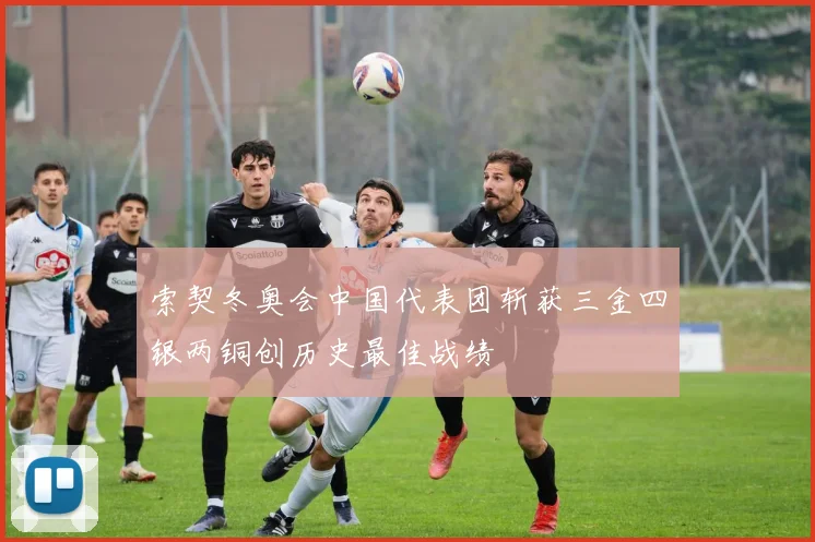 索契冬奥会中国代表团斩获三金四银两铜创历史最佳战绩