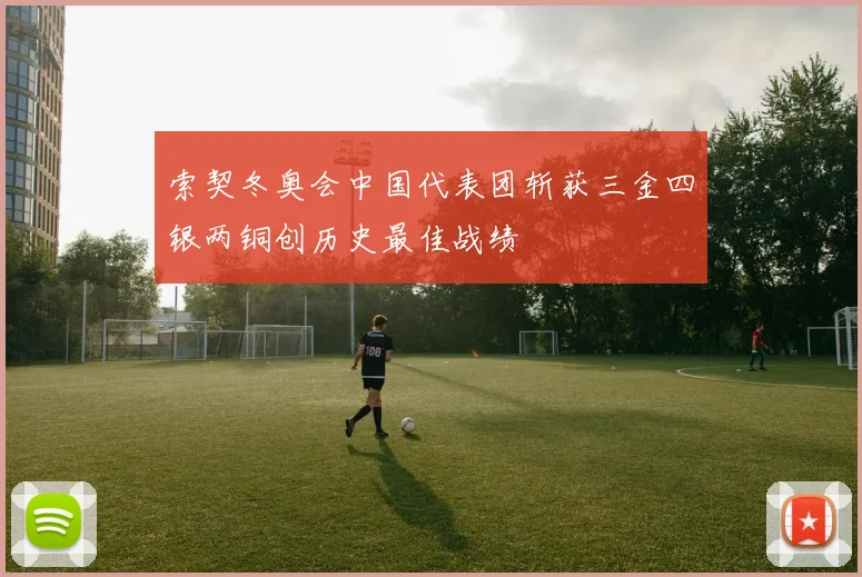 索契冬奥会中国代表团斩获三金四银两铜创历史最佳战绩